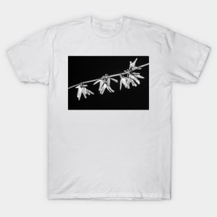 Forsythia 3 BW T-Shirt